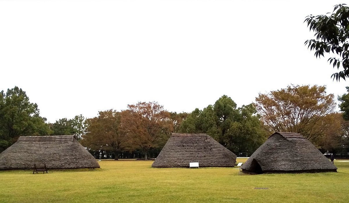 🏞️ 미즈코 조개무덤 공원(미즈코카이즈카코엔) 이미지 5